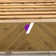 Plastic/Resin Folding Adjustable Back Adirondack Chair with Cup Holder