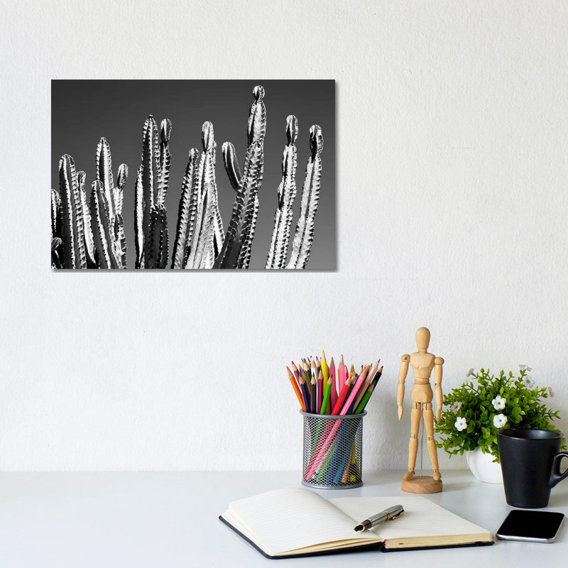 Black Arizona Series - Cactus Top by Philippe Hugonnard - Wrapped Canvas Print, 20.32 cm H x 30.48 cm W