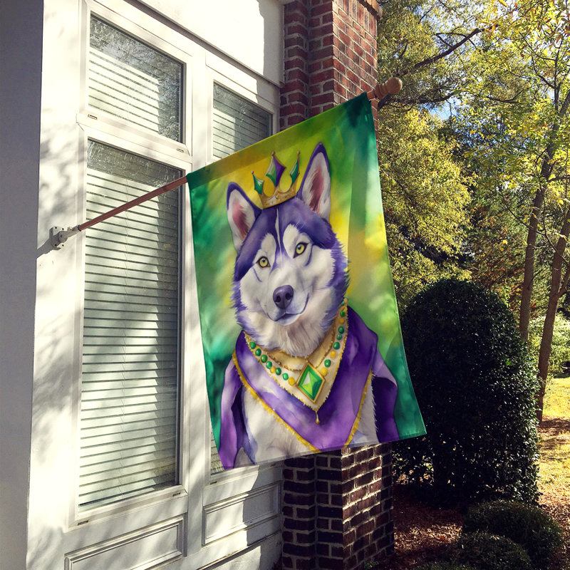 Double Sided 28'' H x 40'' W Polyester Mardi Gras House Flag