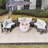 6 - Person Round Outdoor Dining Set With Cushions