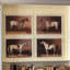 Rustic Framed Thoroughbred Horse Prints – Set of 4