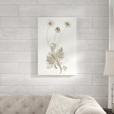 «Neutral Botanical Study VIII», peinture sur toile