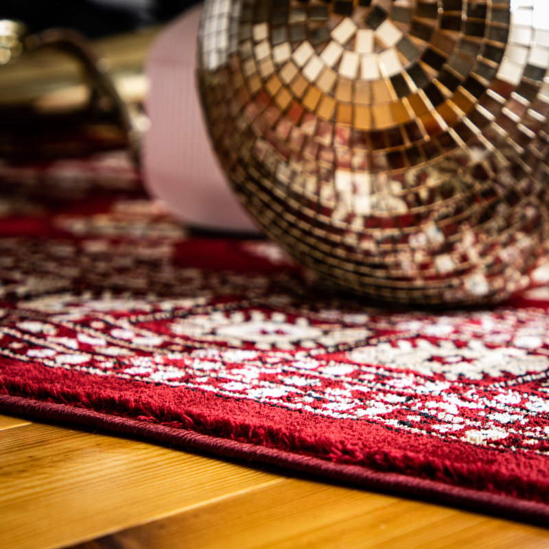 Ariana Oriental Area Rug, Rectangle 300 x 400cm