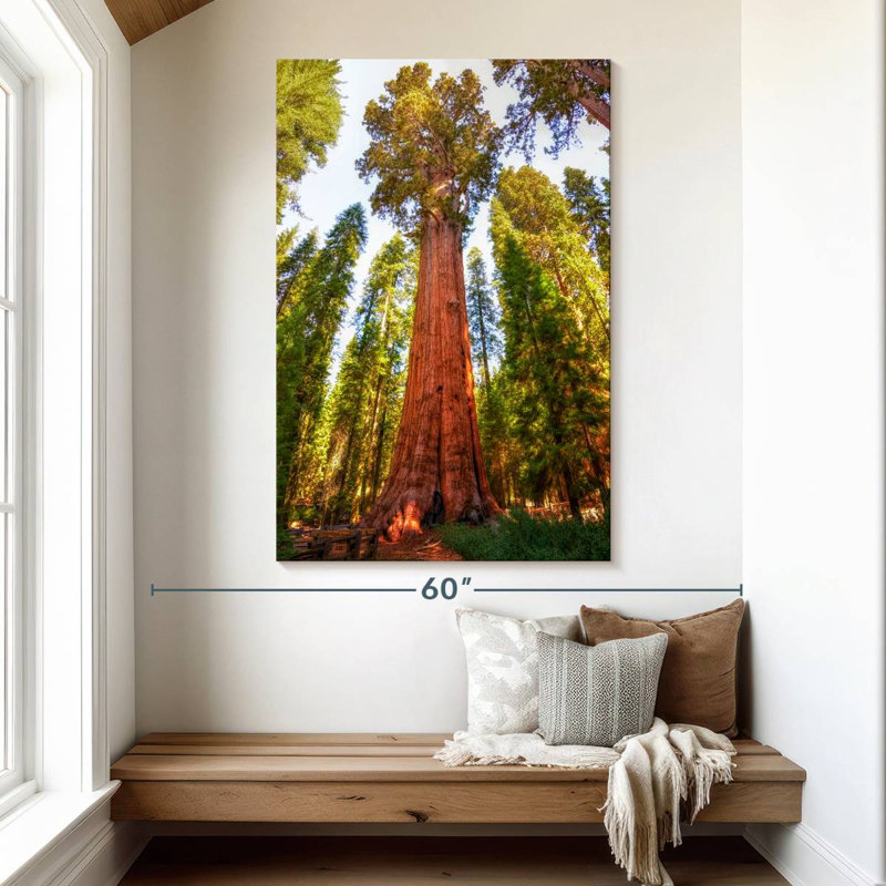 Harnek Redwood Tree Grove, 51" H x 34" W