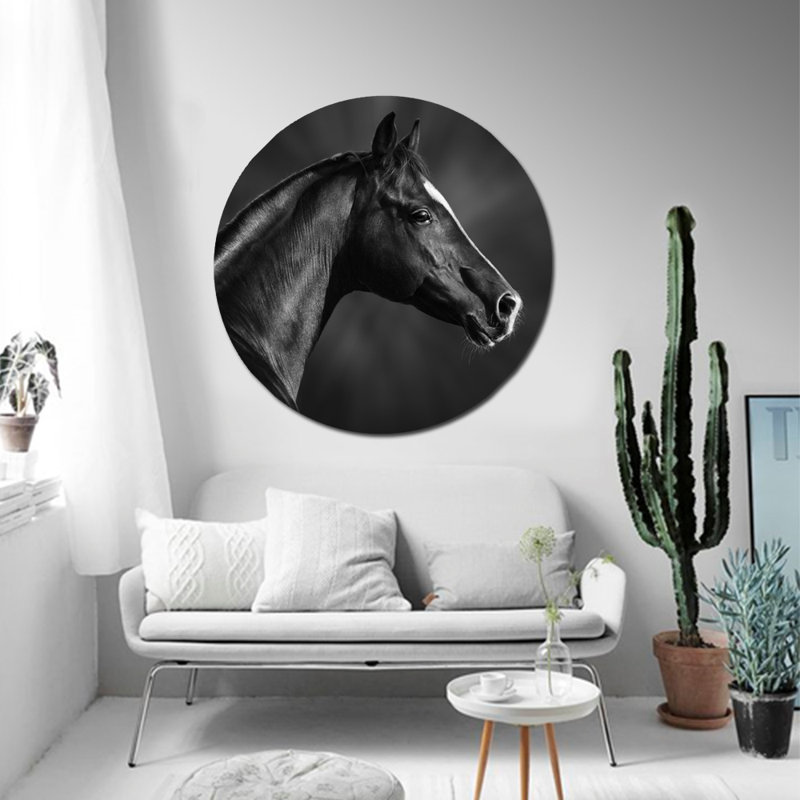 «Black Horse Profile», photographie encadrée, H 36 po x l 36 po