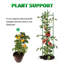 145cm H x 10cm W Plastic Arched