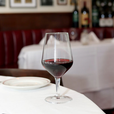 Electra 14.75 oz. Multipurpose Wine Glasses