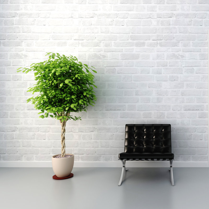 Edam Brickwall Self-adhesive Tile/Panel - 180cm x 120cm, Light Grey