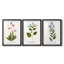 Nature Printed Botanicals V - reproduction sur mesure encadrée de qualité supérieure - 3 pièces-506778561-506778560