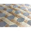 Hand-Knotted High-Quality Beige Area Rug