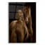 «Tendresse I» par Tony Stromberg-1242239961