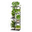 Plant Stand - Set of 10