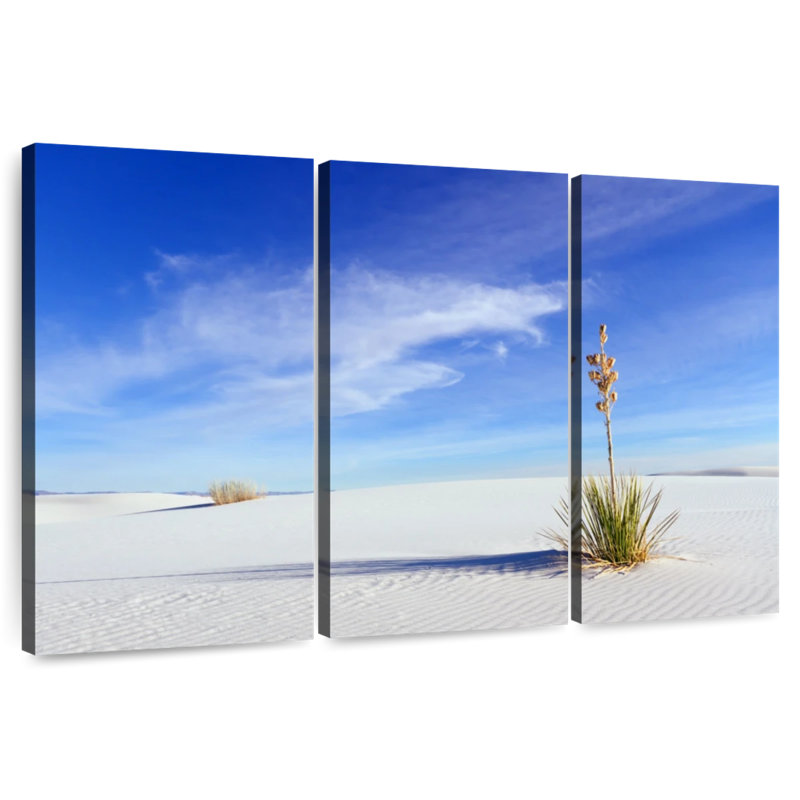 Alvord Lone Yucca, 32" H x 50" W