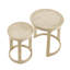 Ensemble de tables basses 24 pouces 2PCS