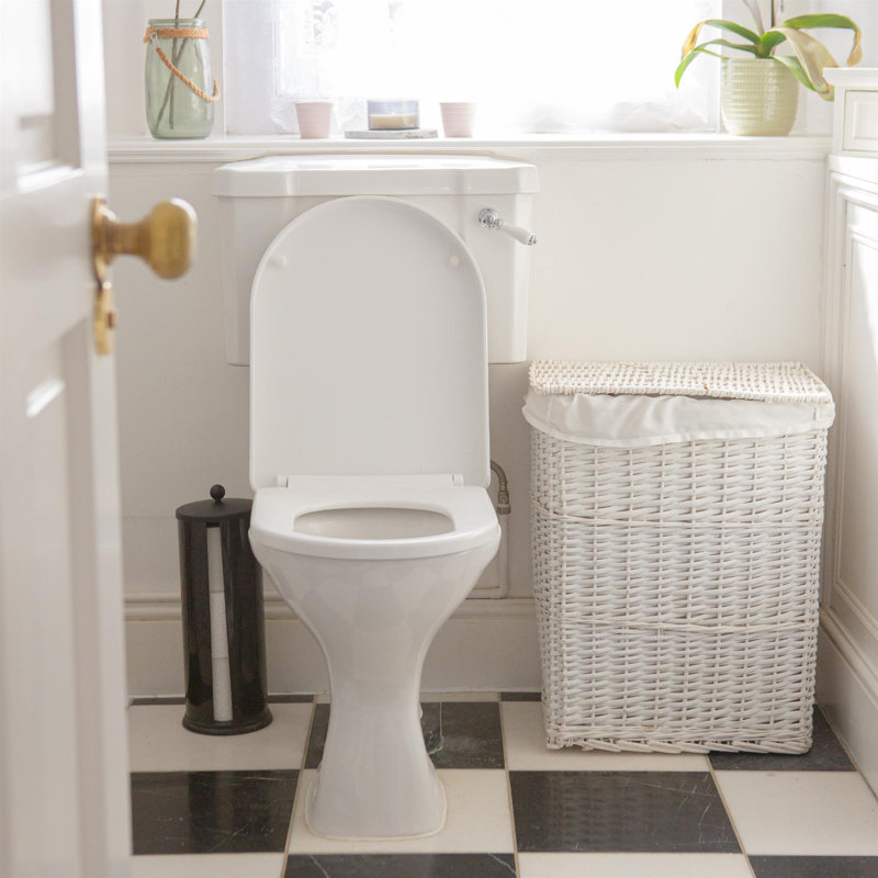 Soft Close Elongated Standard Toilet Seat