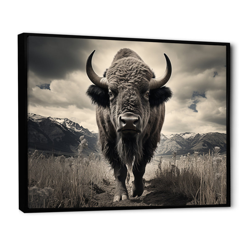 Bison Majestic Bison - Bison, reproduction sur toile, Cadre flottant noir, H 24 po x l 32 po x P 1 po