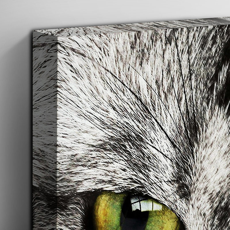 Tabby Licking Paw Photographic - Wrapped Canvas, 100cm H x 70cm W