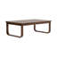 Table basse d'extérieur Delavina en eucalyptus brun-1657092052