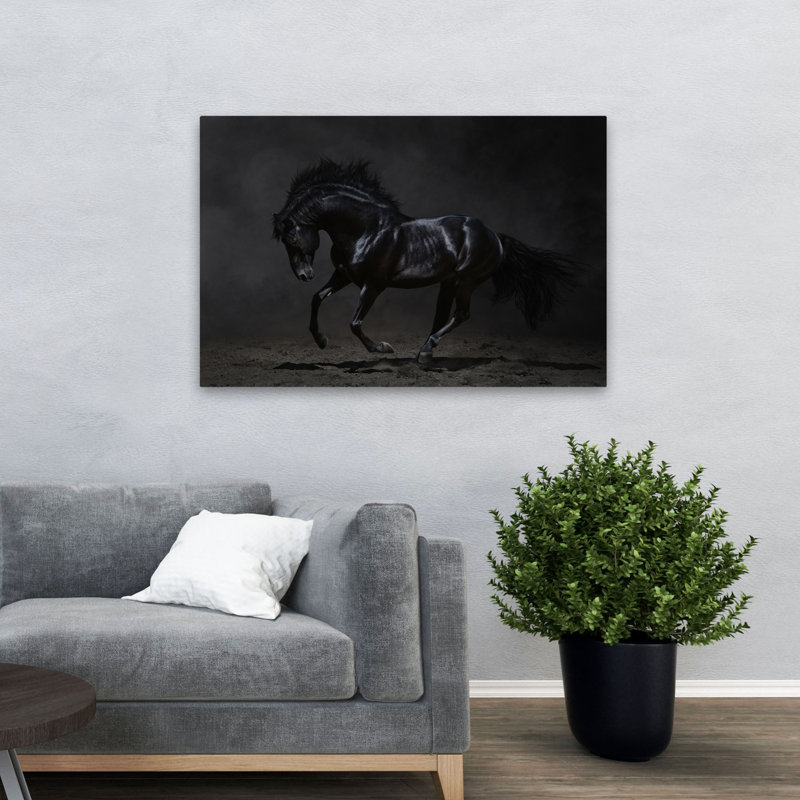 Onyx - photographie, animaux, chevaux, art, H 32 po x l 48 po