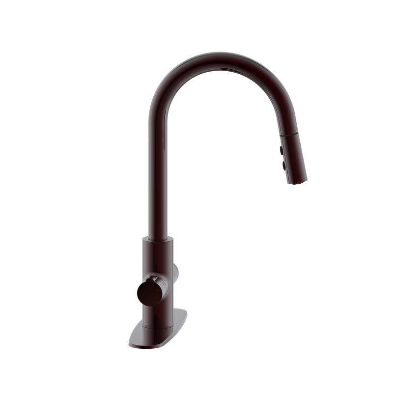 Robinet de cuisine 4 en 1 à poignée simple avec bouton-poussoir et douchette extractible, Bronze huilé