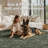 Vintage Boho Area Rug - Washable Non Slip Low Pile Rug-887442861-887442857