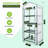 4 Tier Mini Greenhouse - Portable Small Greenhouse with Shelves
