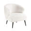 Fauteuil d'appoint 1pc Luxury Luxury Furniture-652506371