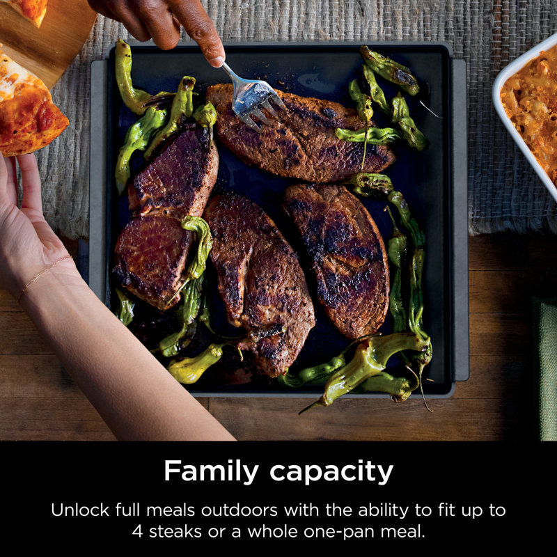 Ninja Woodfire Cast Iron Baking Pan 12.38 in. W 1 pk