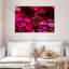 Harnek - fleurs rouges et roses-107497240