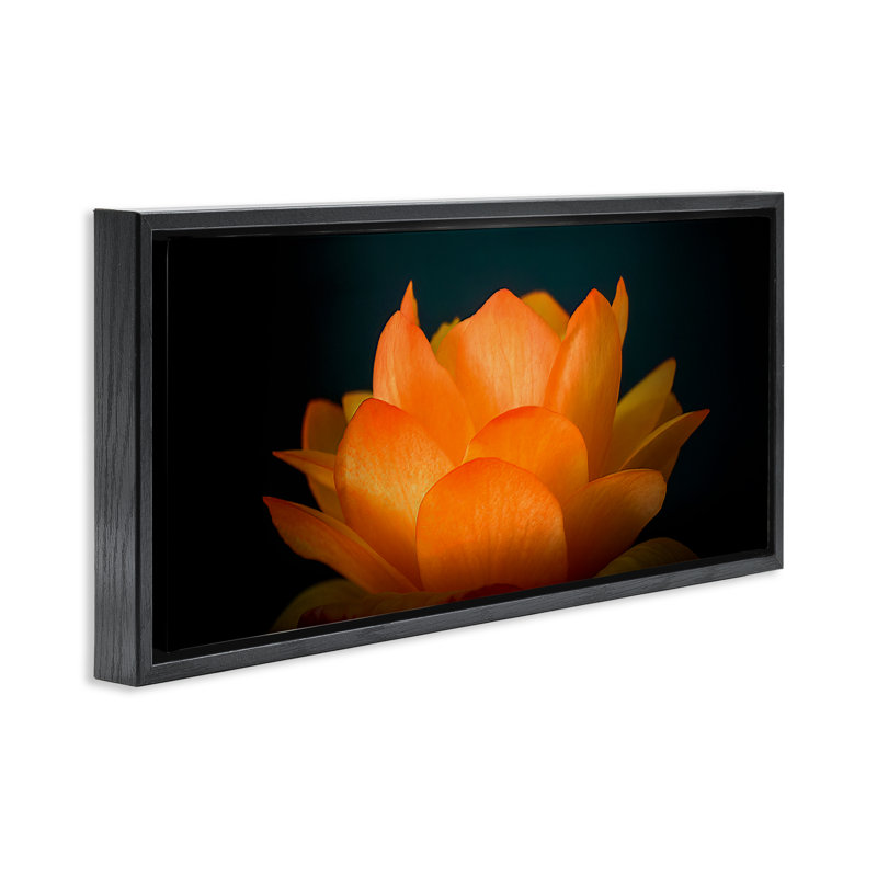 Cadre flottant de lotus orange brillant, design par Phillip Flowers, H 11 po x l 25 po, Cadre flottant noir de jais