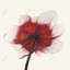 Anémone fleur rouge - rose bureau encadré décor mat