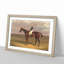 Margrave Horse by John Frederick Herring - Picture Frame Painting-62753361-62753358
