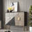 Modern Luxury Entryway Shoe Cabinet 28 Pair Solid Wood Shoe Storage Cabinet