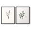 «Vintage Floral XXII», impression giclée sur cadre - ensemble de 2-813104421-813104443