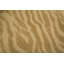 Hand-Knotted High-Quality Gold Area Rug