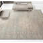 Hand Knotted Wool Oriental Area Rug in Blue/Gray-1674742259