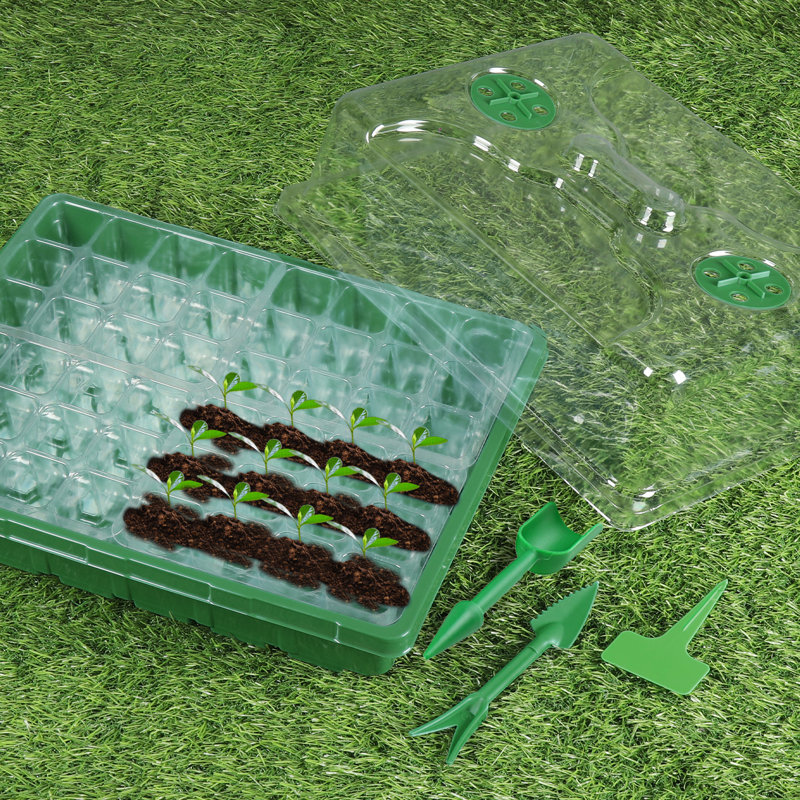 Trousse de croissance, Vert