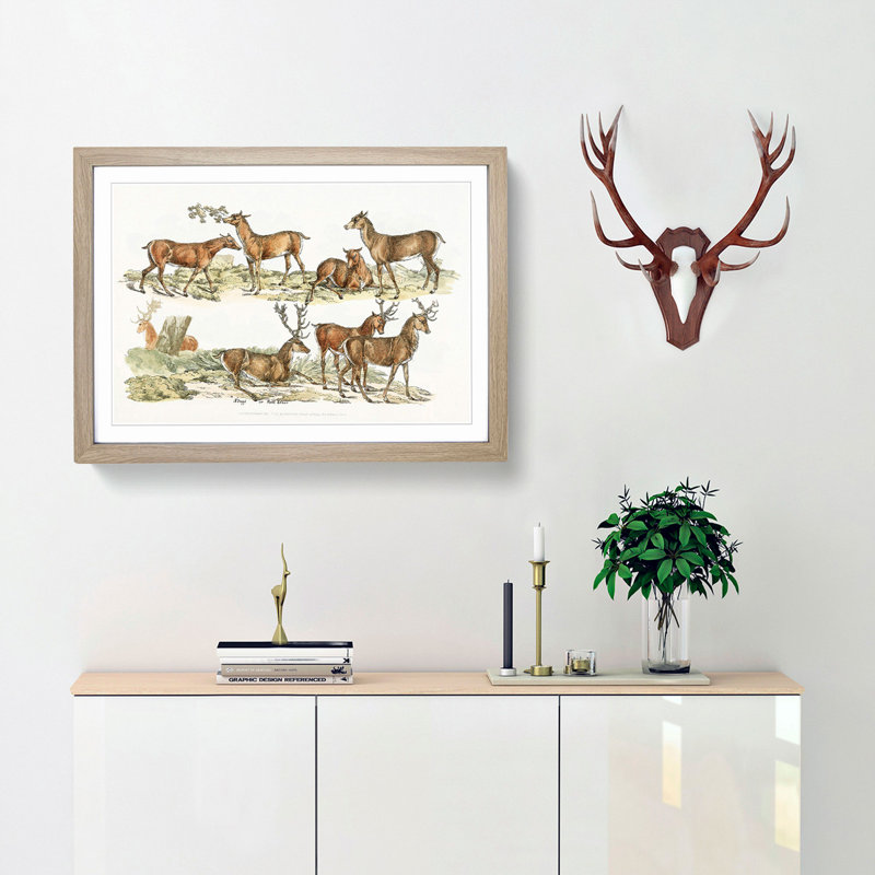 Stags or Red Deer by Henry Alken - Picture Frame Painting Print, Oak Framed, 36cm H x 48cm W x 2cm D