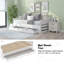 Delby Single Solid Wood Daybed with Trundle