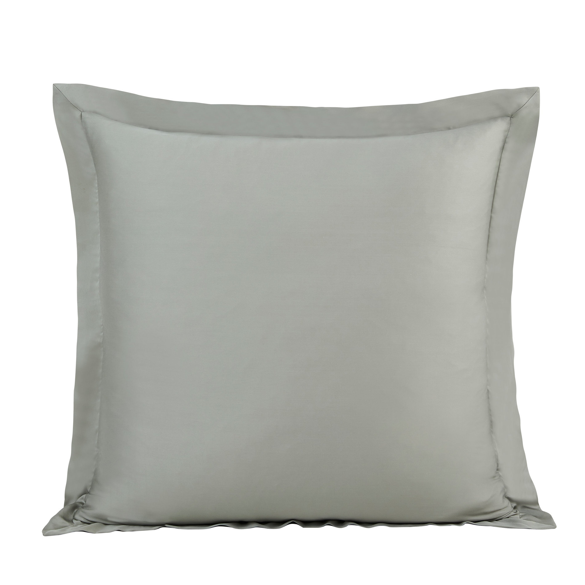 Eucalyptus Silky Soft Modern Contemporary 27x27 inch Euro Sham, Sage