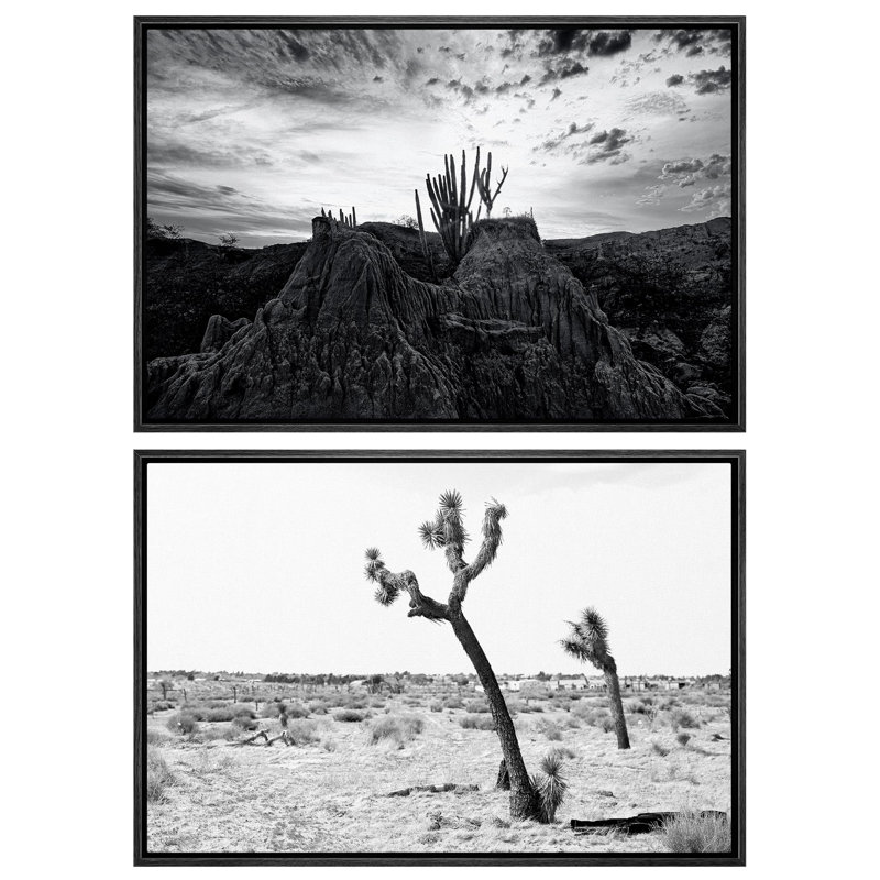 Cactus, désert, sud-ouest, désert, cactus, paysage, nature, ouest, 2 pièces, H 24 po x l 36 po, Cadre noir