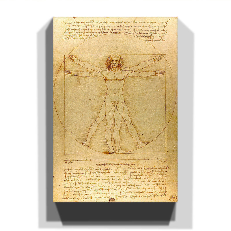 Vitruvian Man by Leonardo Da Vinci - Wrapped Canvas Painting, 100cm H x 70cm W