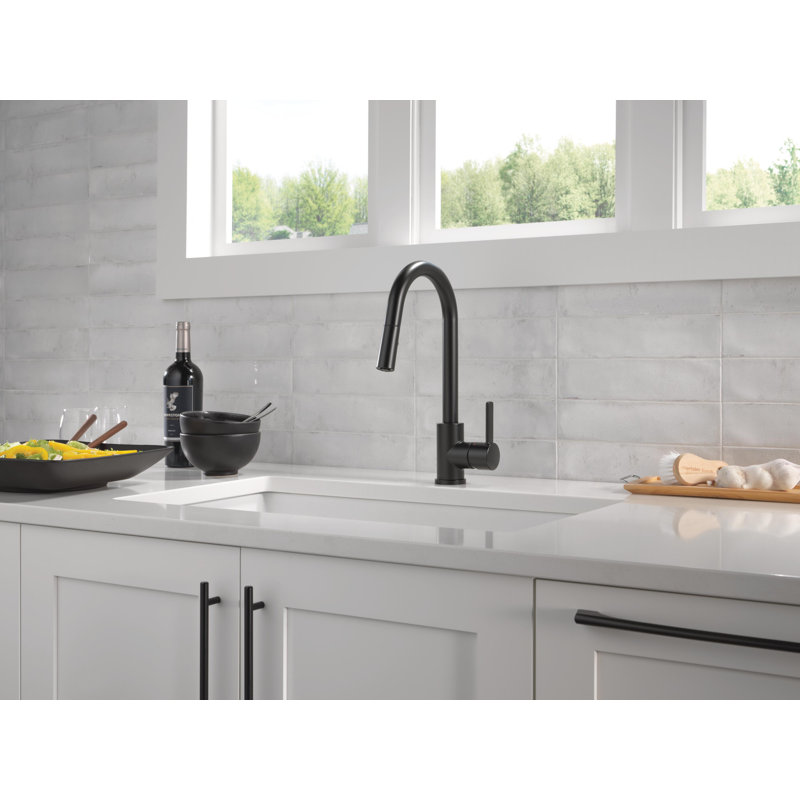 Peerless faucet Kitchen Faucet Side Spray, Matte Black