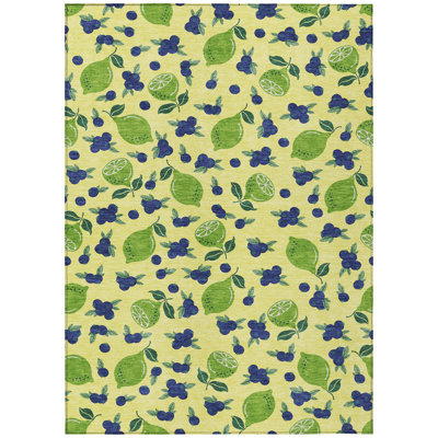 Machine Washable Indoor/Outdoor Bourkelands ACN2354 Fruits Rug
