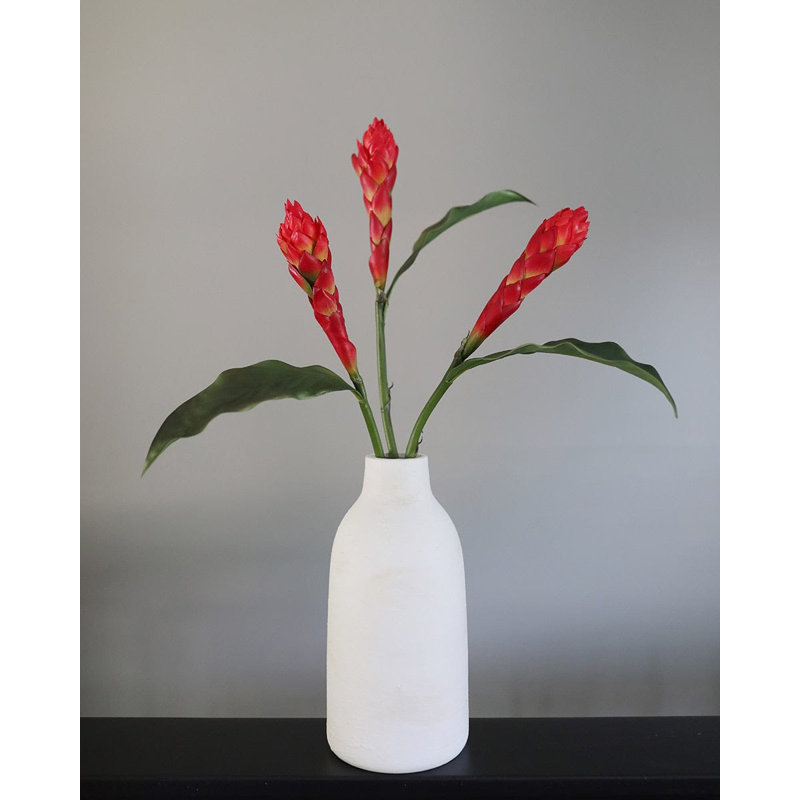Faux gingembre tropical de 32 po