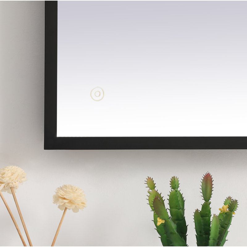 Piche Aluminium Mirror, Black, 24" x 40"