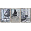 Marine Botanicals VI, ensemble de 3 toiles encadrées-97709329-97709330