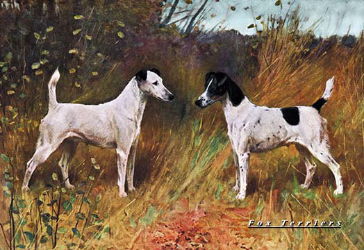 2 fox terriers, reproduction d’art, H 28 po x l 42 po x P 1,5 po