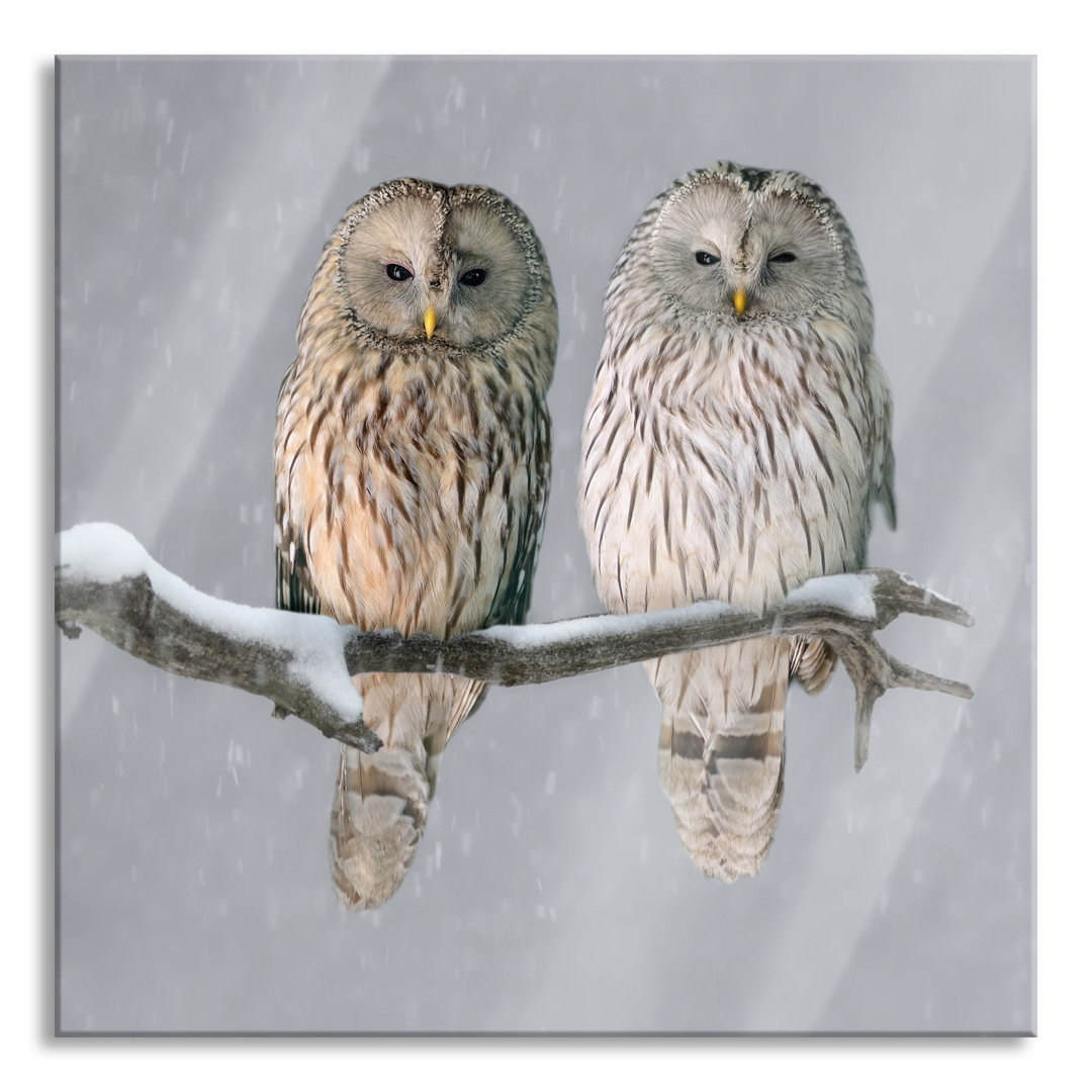 Ungerahmtes Foto auf Glas "Two Owls in a Winter Landscape"