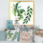 Feuilles vertes d'hiver sur fond blanc - peinture sur toile-66806414-66806419